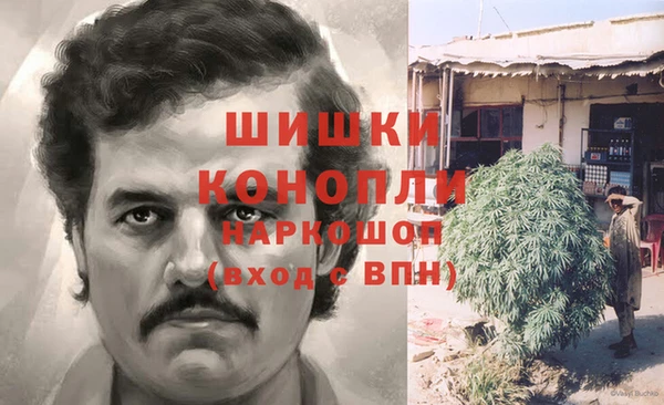 гашик Карталы