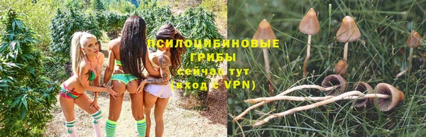 гашик Карталы