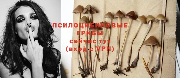 скорость Всеволожск