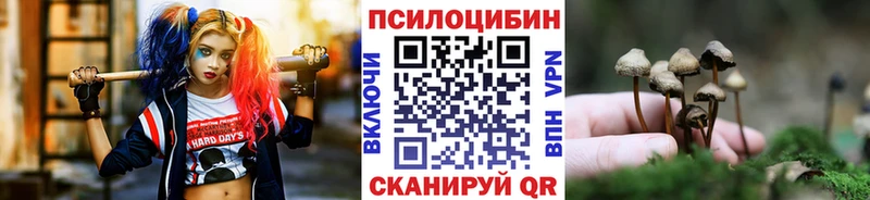 Галлюциногенные грибы MAGIC MUSHROOMS  магазин  наркотиков  Катайск 